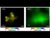 Time-of-flight Compressed Ultrafast Photography